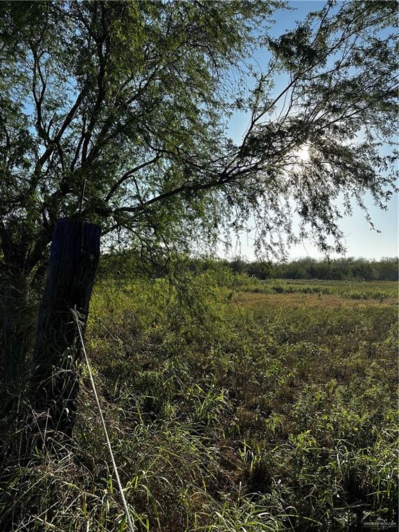 Photo 8 of N OF Mile 21 Road
