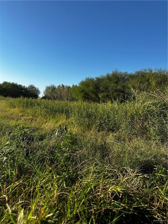 Photo 9 of N OF Mile 21 Road