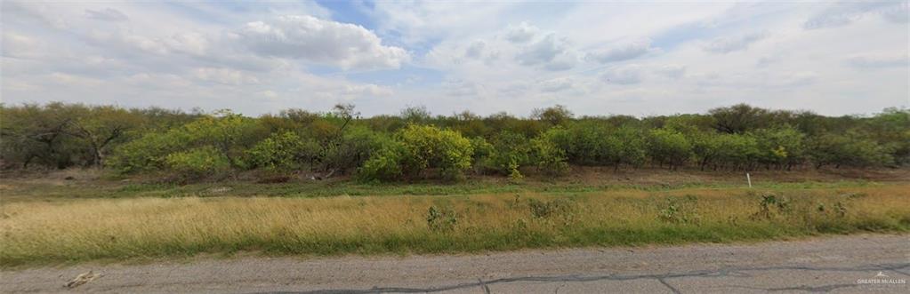 Photo 1 of 21703 Los Venados Drive, Edinburg