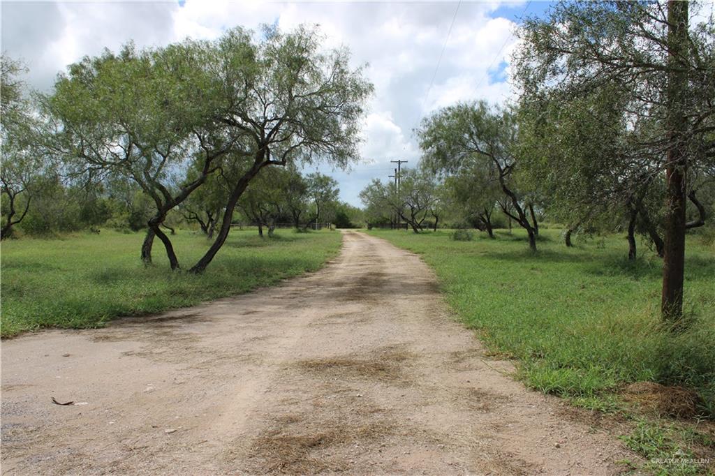 Photo 8 of 375 CR 401 Road