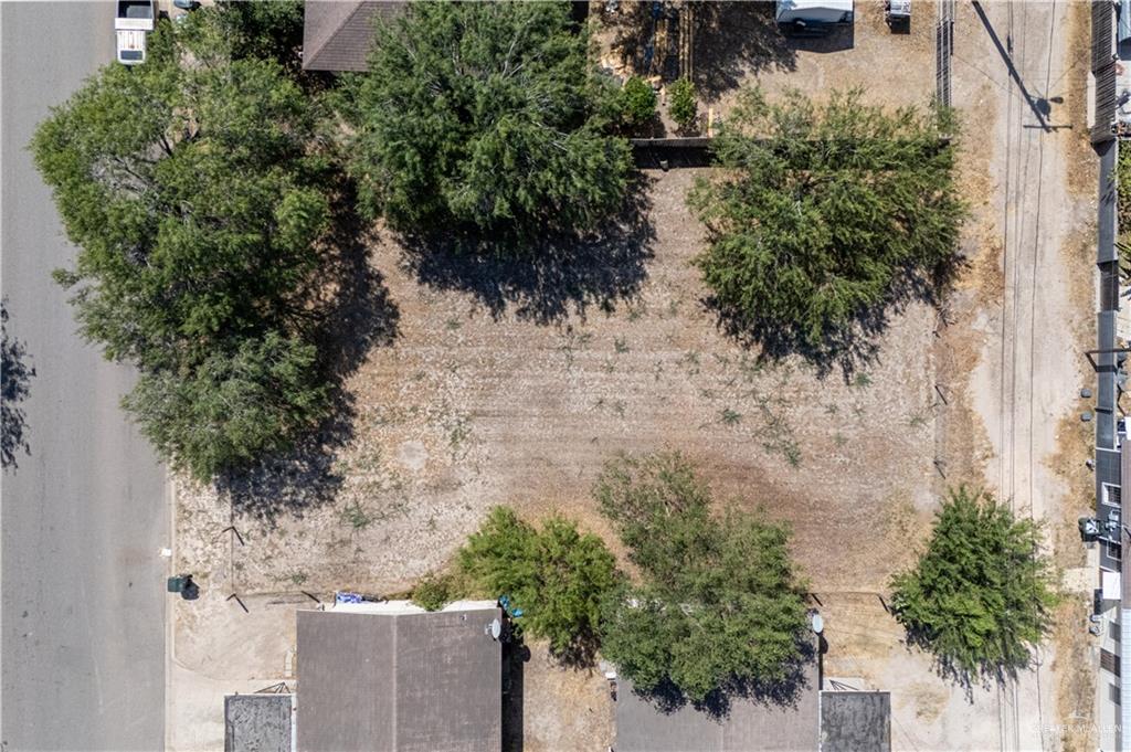 Photo 3 of 208 Primrose Avenue