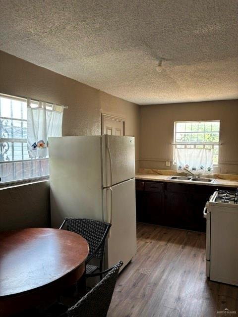 Photo 3 of 518 Cantu Street