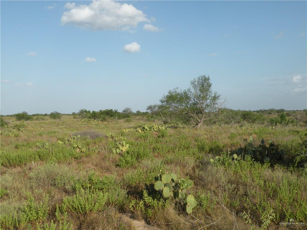 Photo 11 of 0 FM 1017 Highway