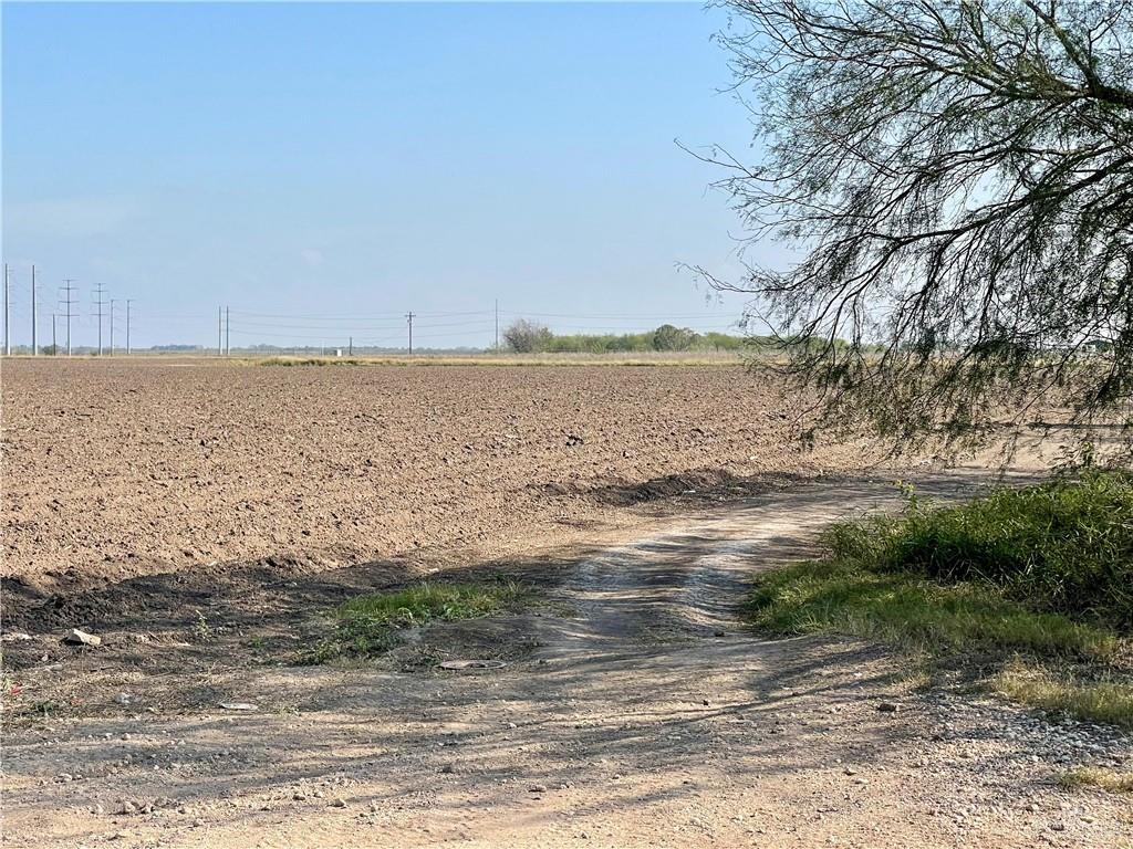 Photo 1 of TBD Gonzalez Street, Progreso