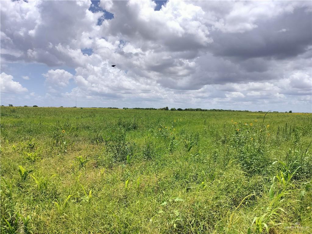 Photo 1 of 0000 FM 490 Road, La Sara