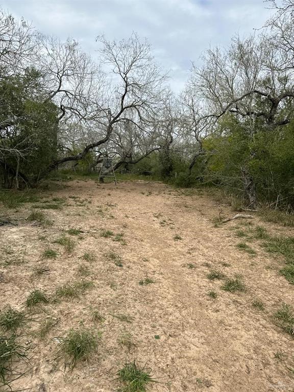 Photo 19 of TBD CR 406