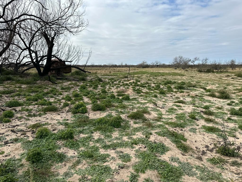 Photo 20 of TBD CR 406
